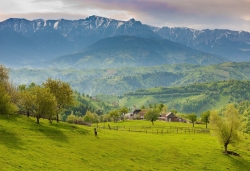 Szlakiem wina i hrabiego Drakuli